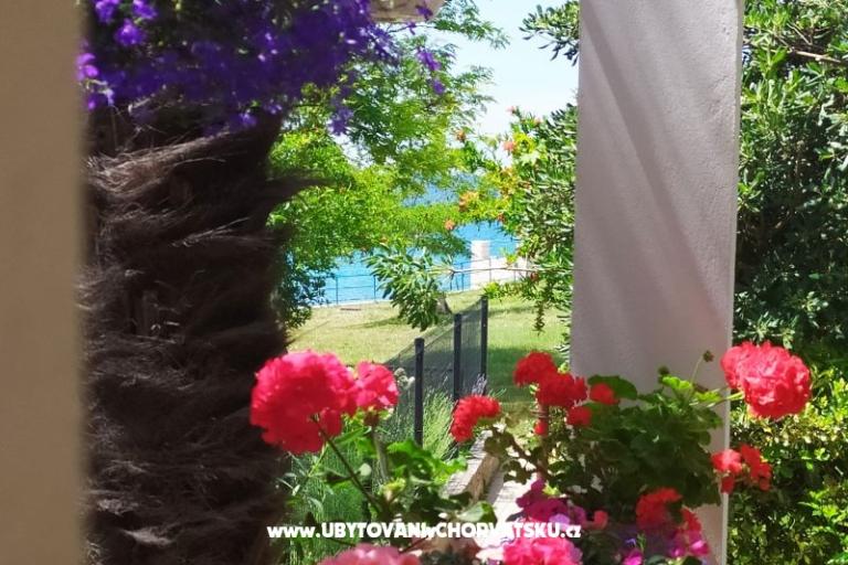 Appartementen i sobe Sandra – foto 14