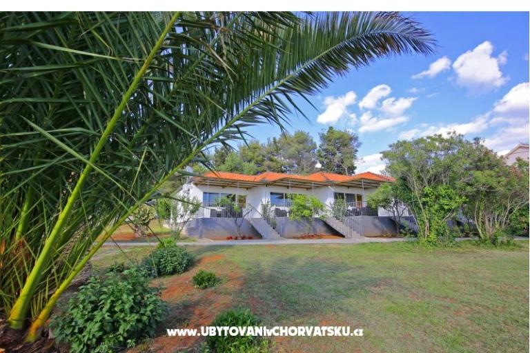  Villa Mediterano Bibinje + pool – foto 8