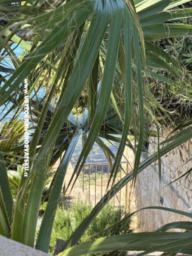 Appartementen Šime – foto 12