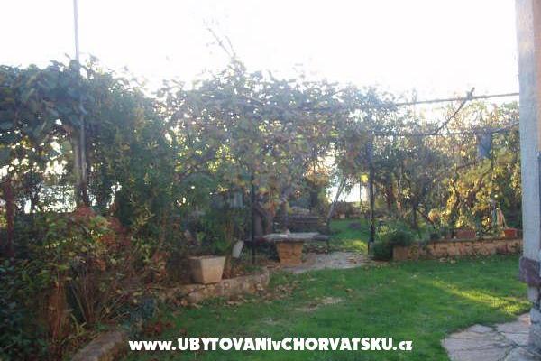 Appartementen and Huis Spika – foto 5