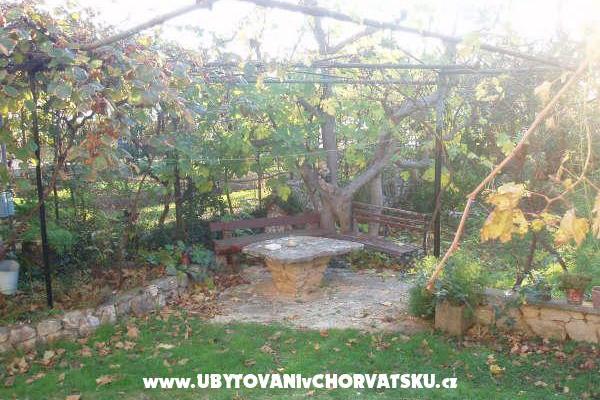 Appartementen and Huis Spika – foto 6