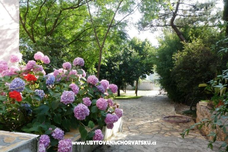 Appartementen Lolinka Bibinje – foto 12