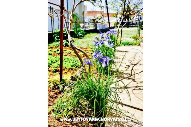 Appartementen Grcić – foto 15