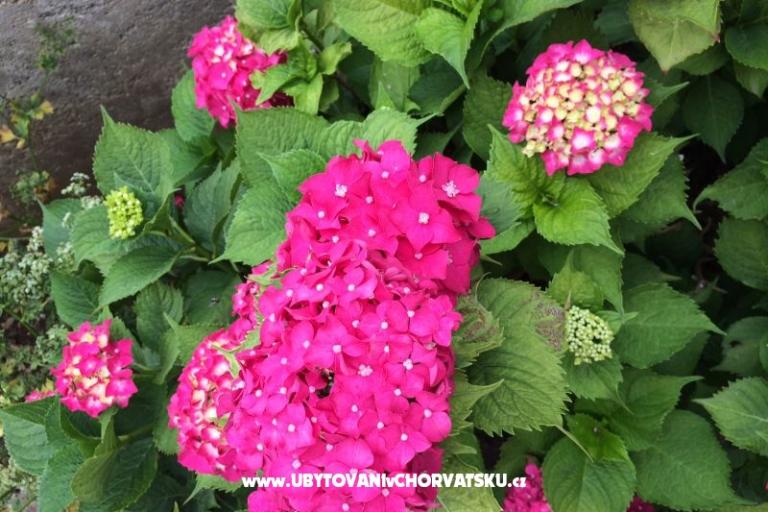 Appartementen Jurov – foto 15