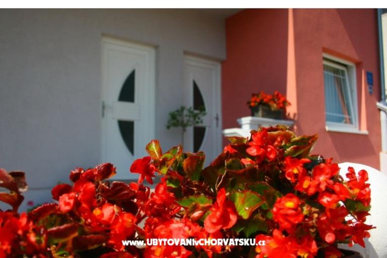 Appartementy Kus – foto 4