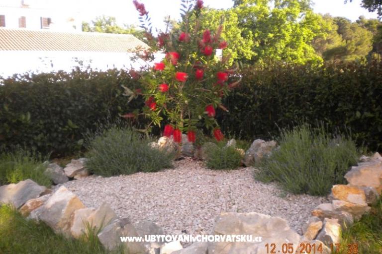 Appartementen M&amp;M – foto 10
