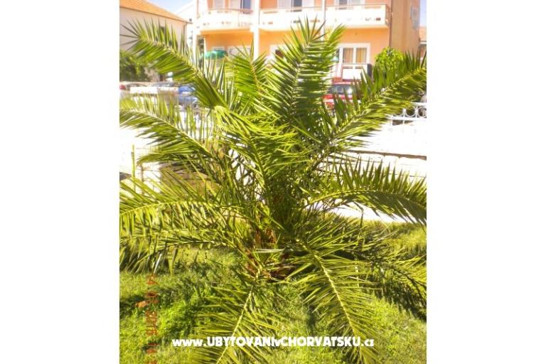 Appartementen M&amp;M – foto 9