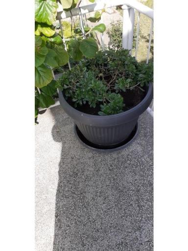 Appartementen Margarita – foto 2