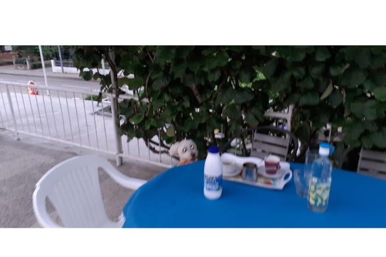 Appartementen Margarita – foto 4