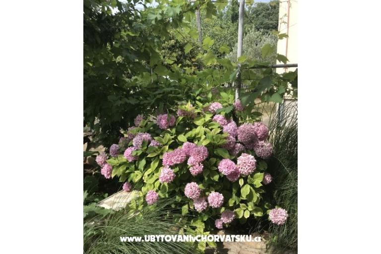 Appartementen Sunčana Dalmacija – foto 8