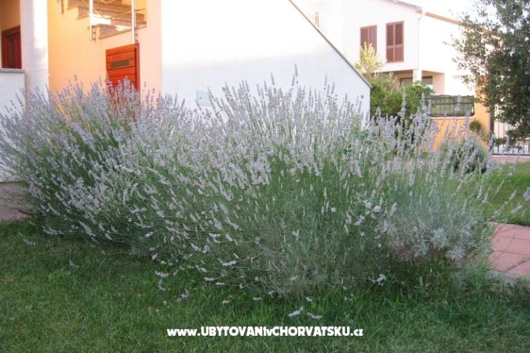 Appartementen Blandona – foto 7
