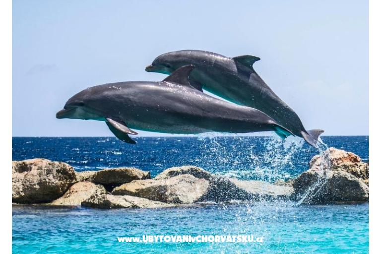 Royal R mobile home – foto 41