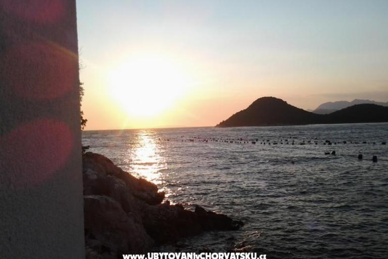 Villa Mala – foto 2