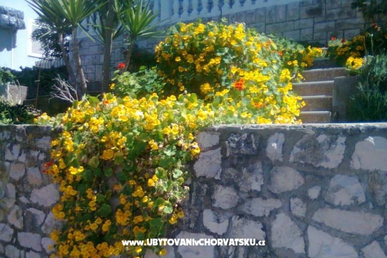 Appartementen M  – foto 6