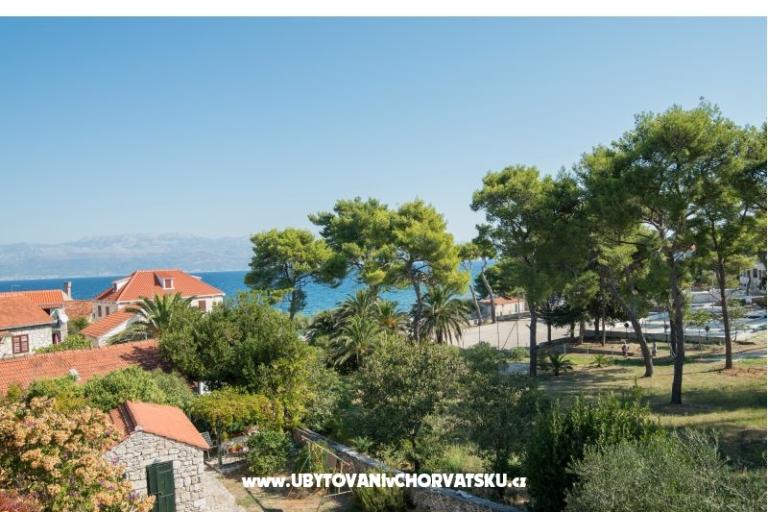 * Dvori * – foto 9