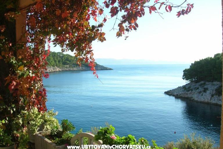 Appartementen Rogosic – foto 15