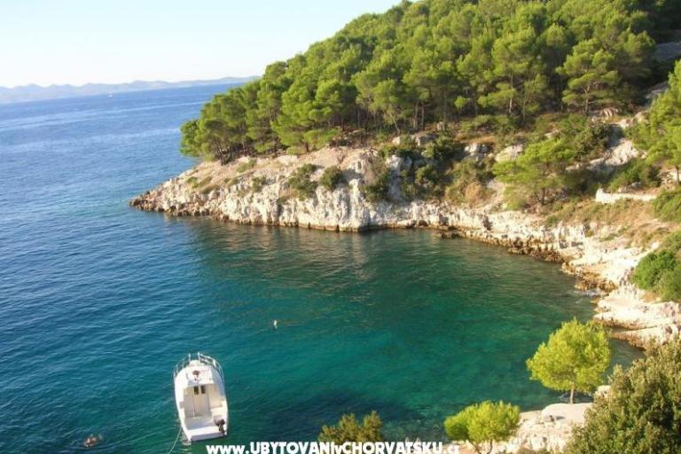 Appartementen Rogosic – foto 4