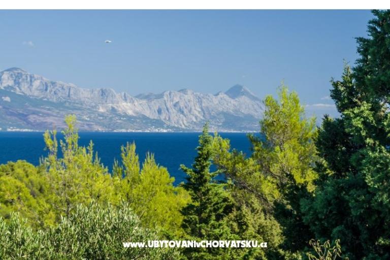 Appartementen Silva – foto 10