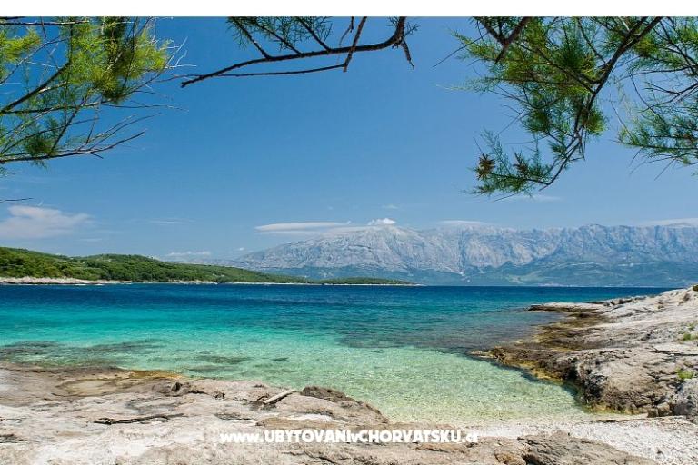 Appartementen Silva – foto 4