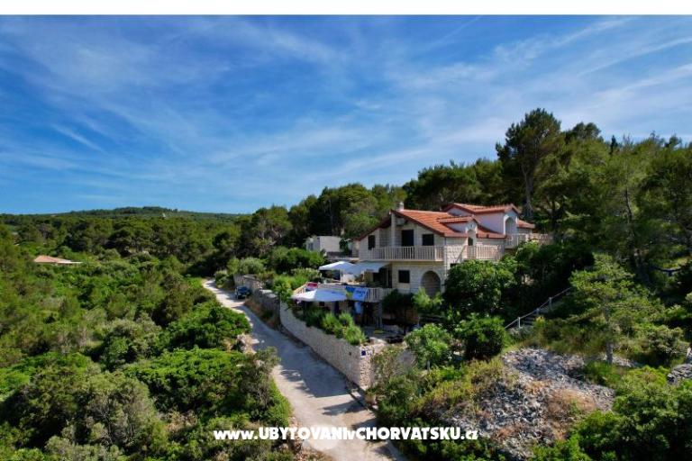 Appartementen Villa Dragica – foto 5