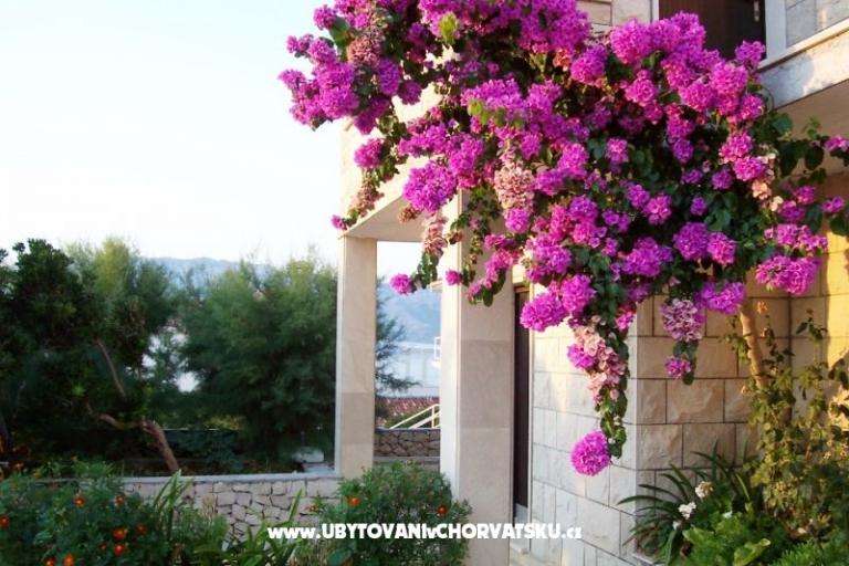 Appartementen Villa Vanja – foto 6