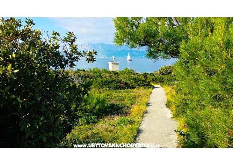 Vakantiehuis Doda uvala Tičja Luka – foto 18