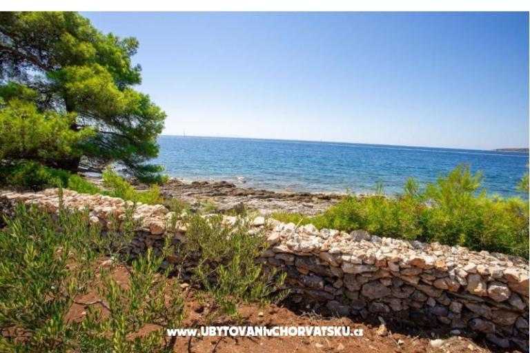 Family Huis Futura – foto 11