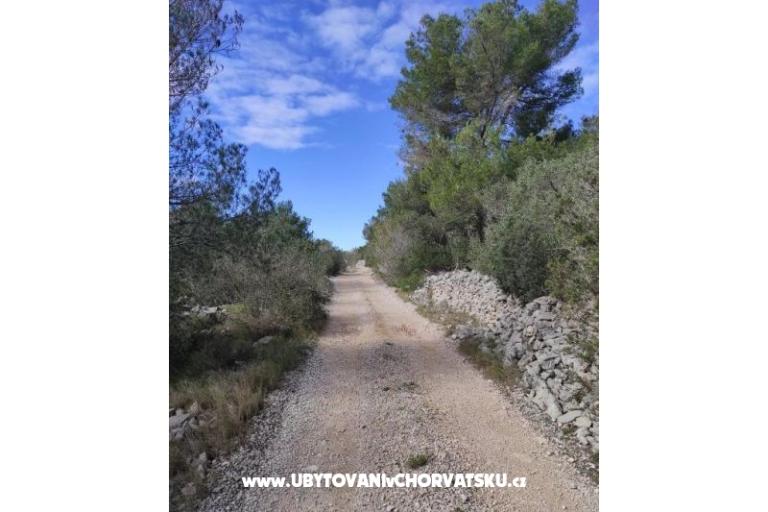 Family Huis Futura – foto 38