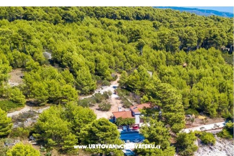 Family Huis Futura – foto 4