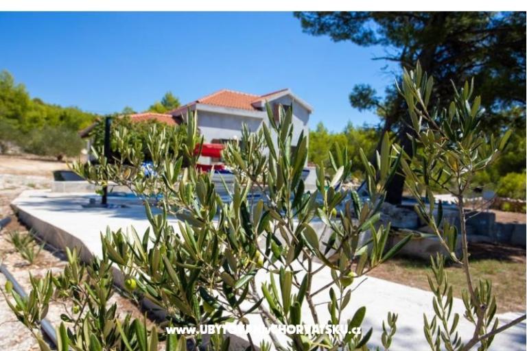 Family Huis Futura – foto 5