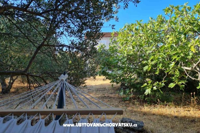 Garden Huis Sutivan – foto 6