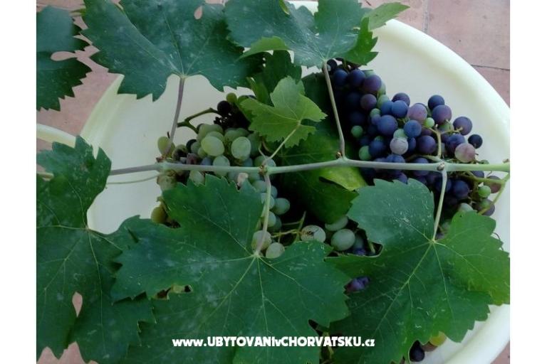 Huis Ankica – foto 15