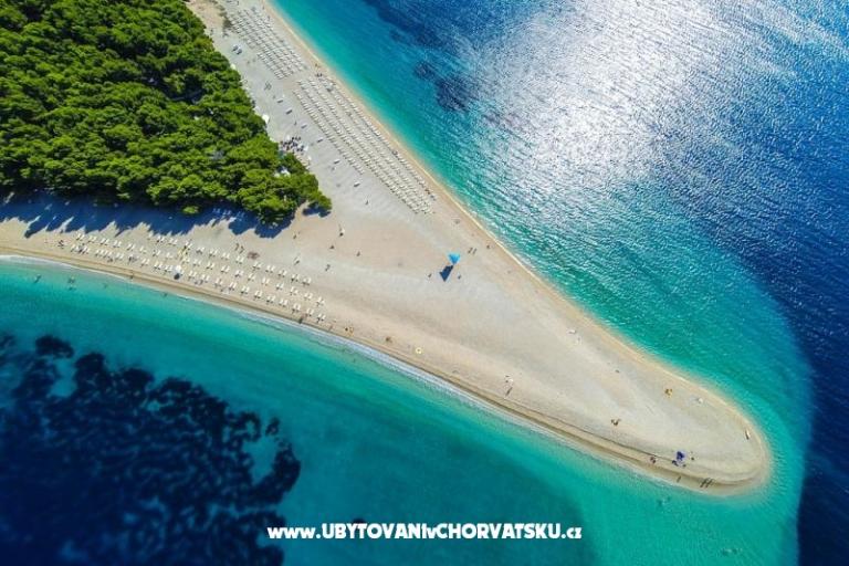 Huis Bongovila – foto 13