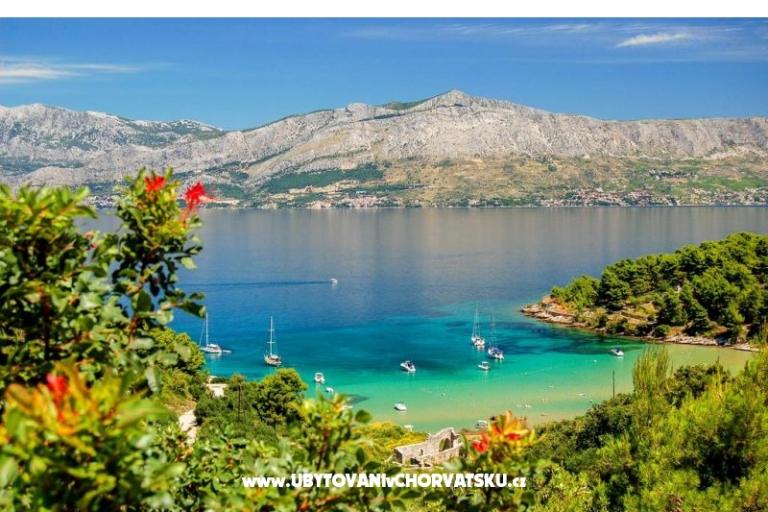 Huis Bongovila – foto 14