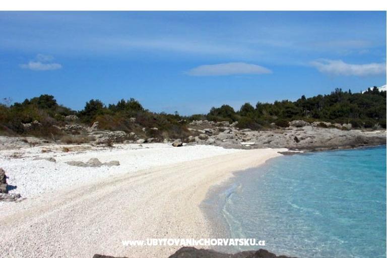 Huis Bongovila – foto 15