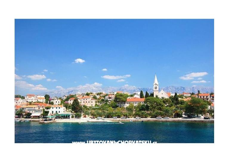 Huis Bongovila – foto 2