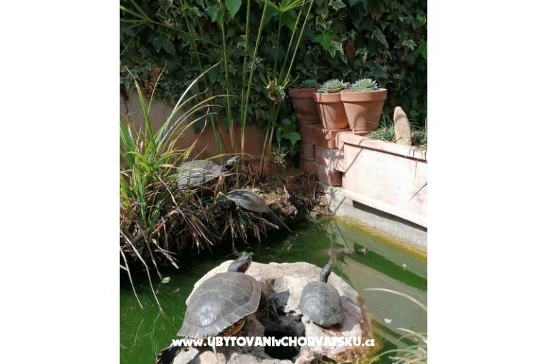 Appartementen Vesna – foto 12