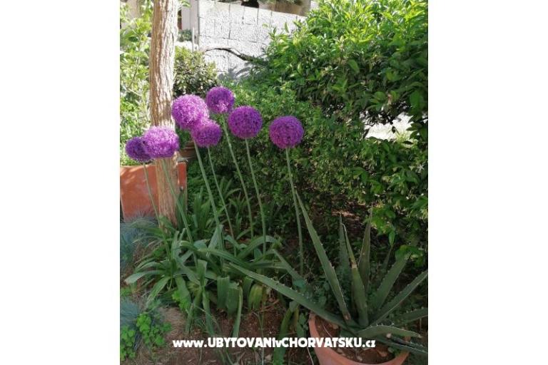 Appartementen Vesna – foto 23