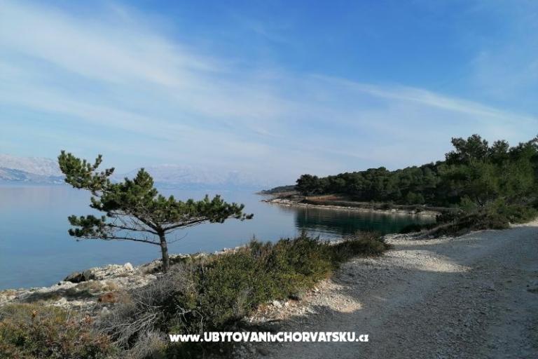 Appartementen Vesna – foto 24