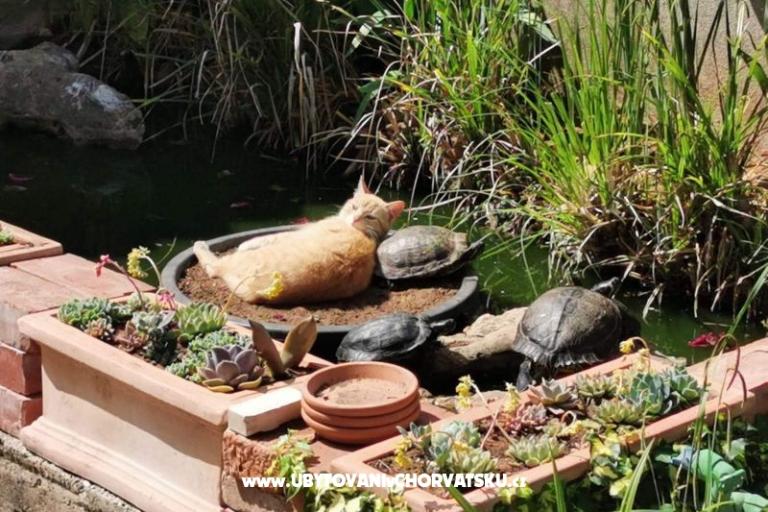 Appartementen Vesna – foto 29