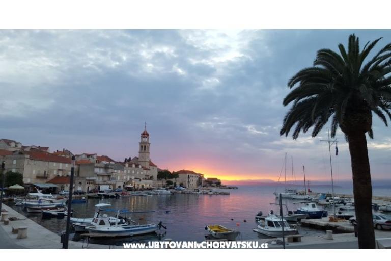 Vila Magdalena – foto 9