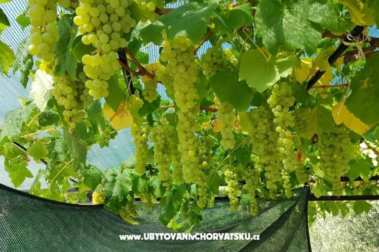 Villa Canadiana – foto 22