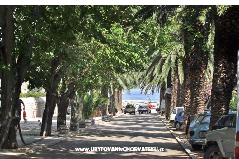 Villa Magda – foto 15