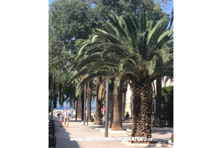 Villa Nelly – foto 26