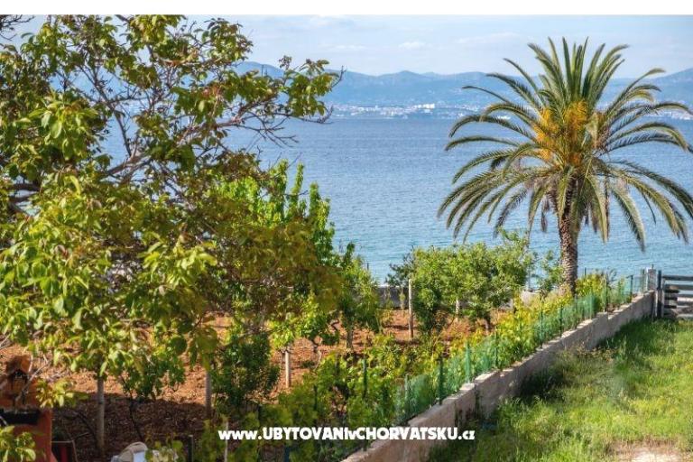 Villa Nelly – foto 6