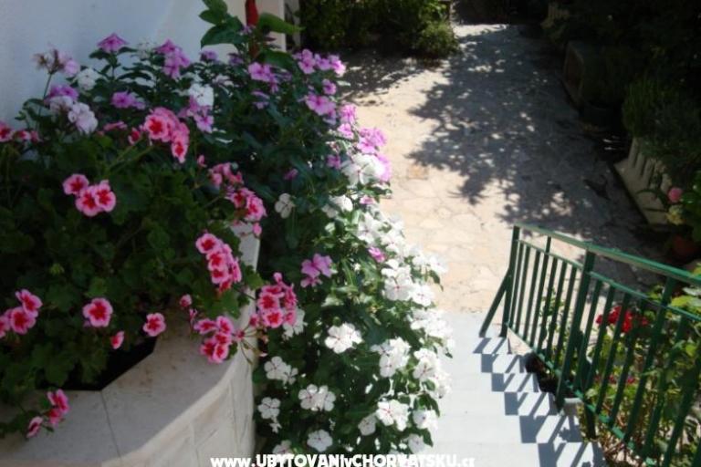 Appartement Nada Žamić – foto 7