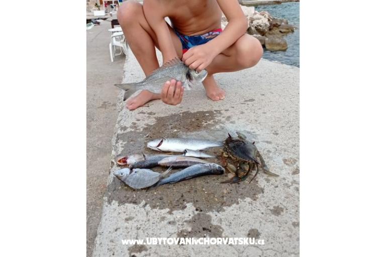 Appartementen KiS Zelić – foto 21