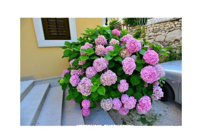 Appartementen Perla – foto 14