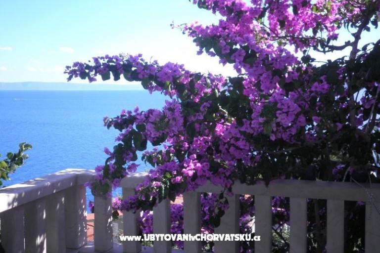 Appartementen Perla – foto 15