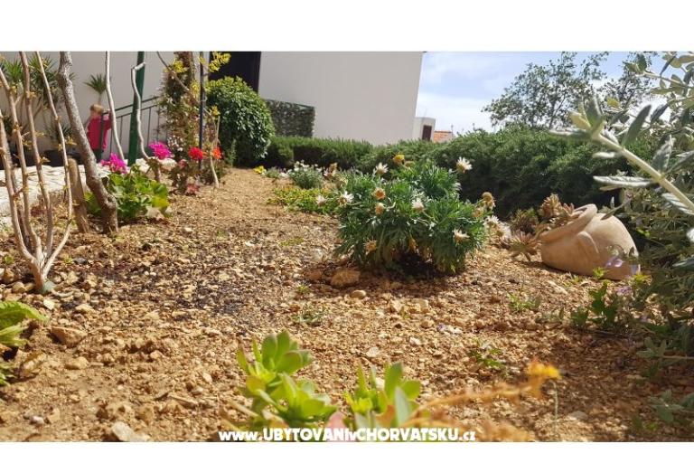 Appartementen Tomas Brela – foto 6